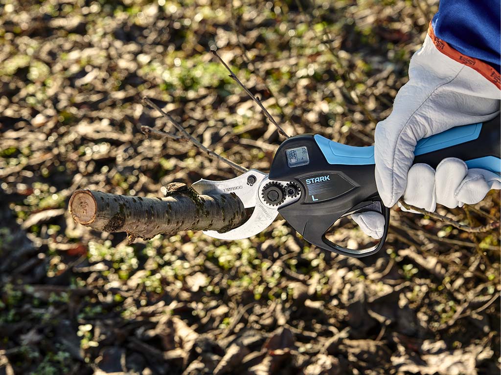 Photo du produit Sécateur CAMPAGNOLA STARK L ø37mm