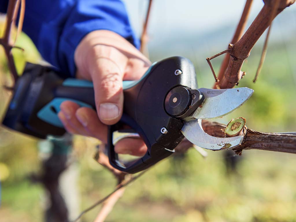 Photo du produit Sécateur CAMPAGNOLA STARK M ø32mm